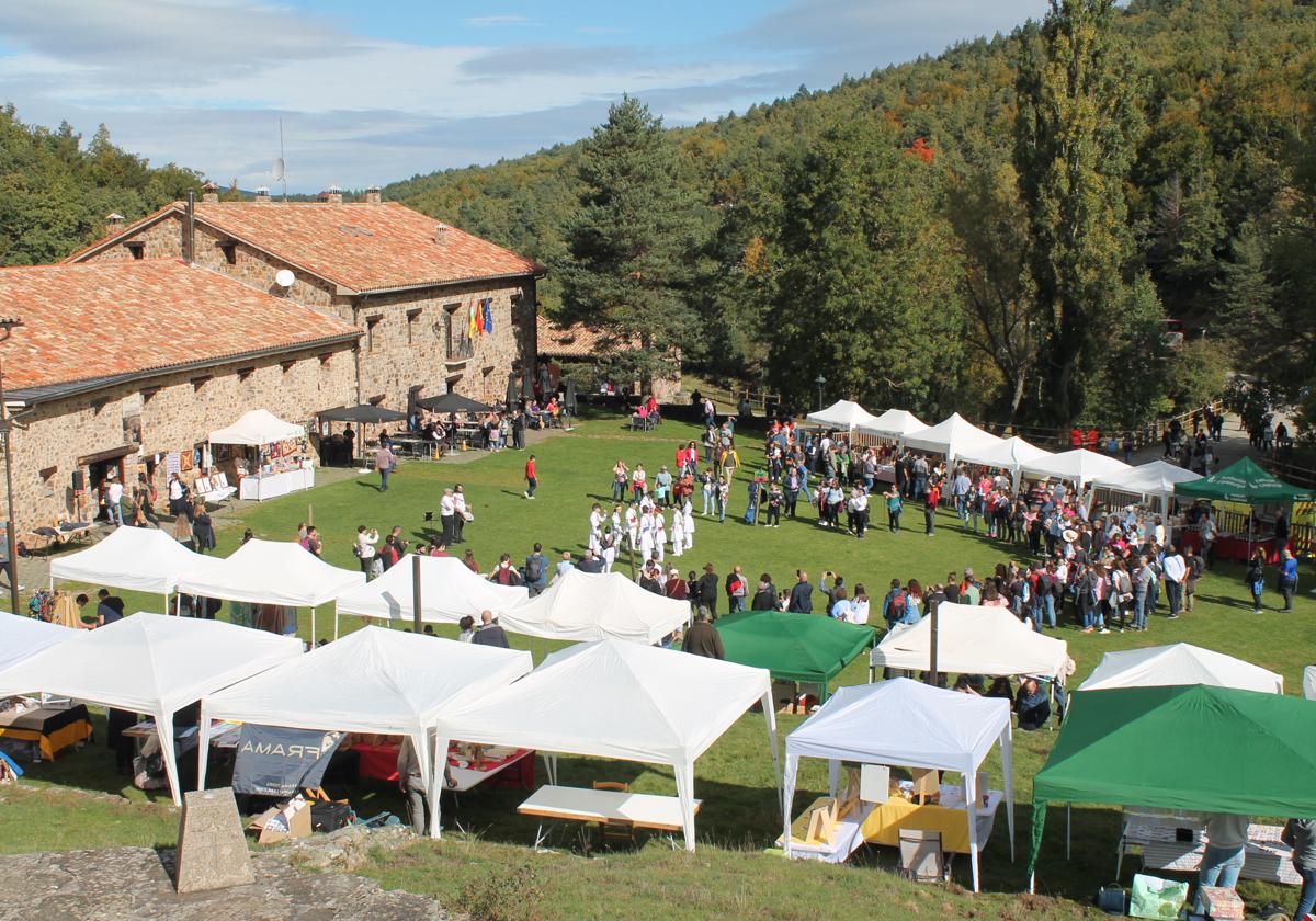 Vista general de la fiesta de la trashumancia de este sábado, en un boscoso enclave conocido como Venta de Piqueras.