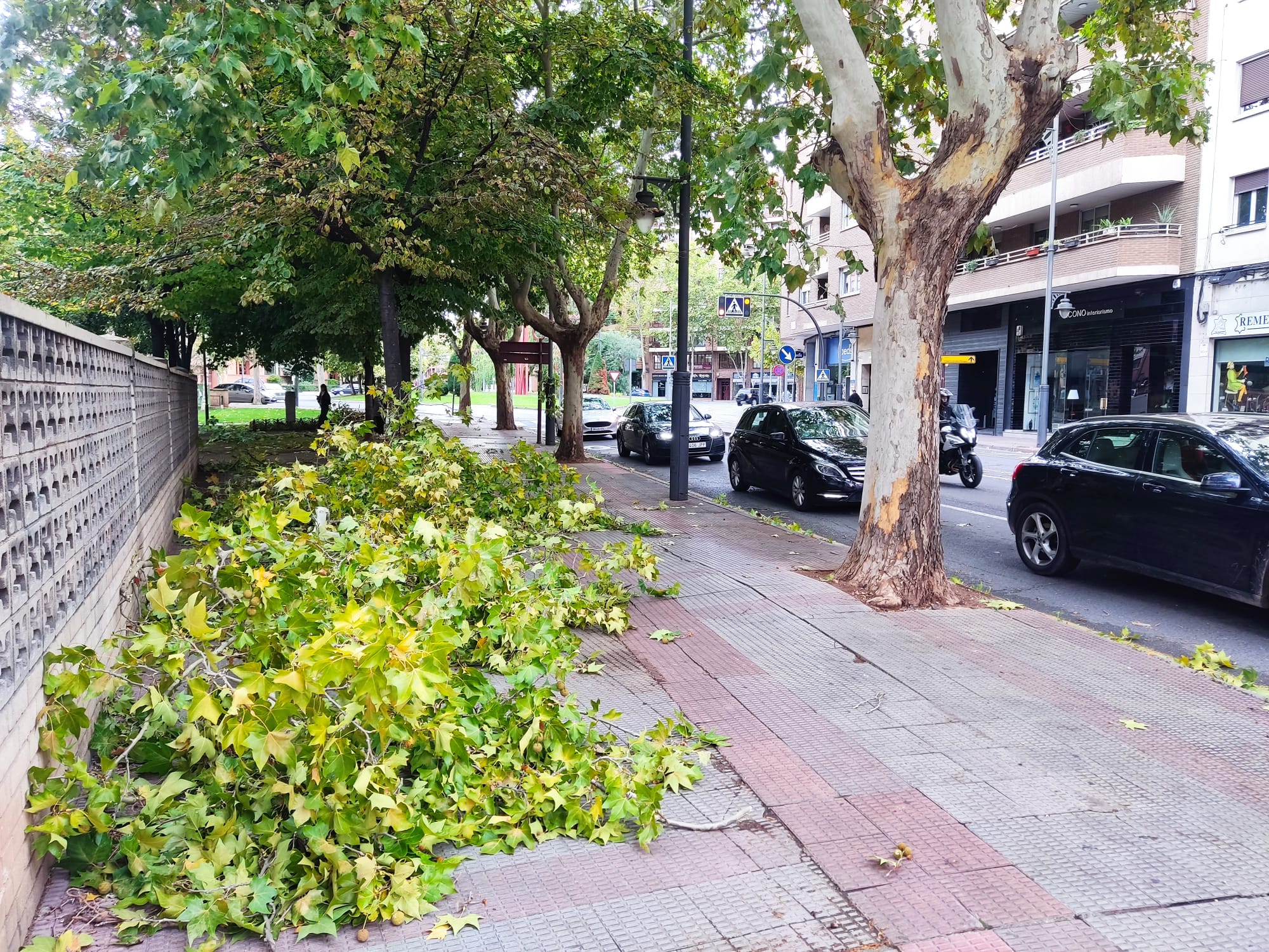 Más árboles caídos, en la calle Chile