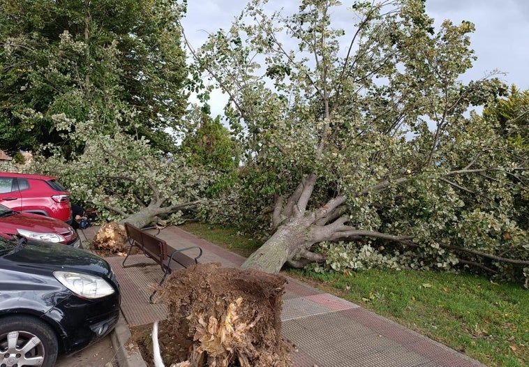 Rachas de viento de hasta 138 kilómetros por hora provocan numerosas incidencias en La Rioja