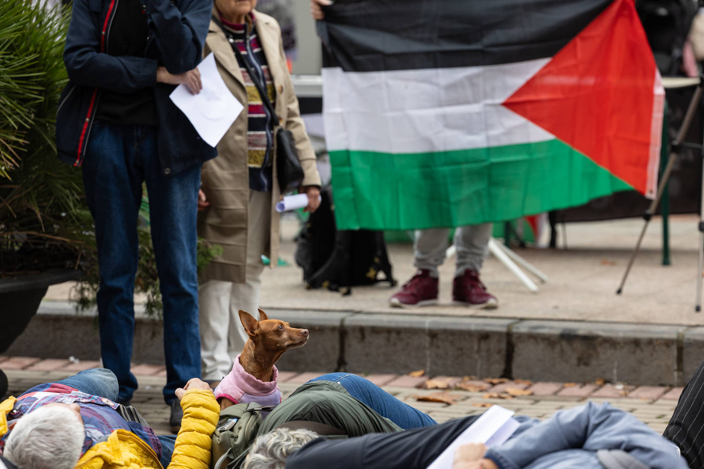 &#039;Performance&#039; de Acampada por Palestina frente a la Delegación de Gobierno