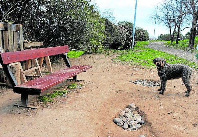 Zona para perros en el B-5. I. A.