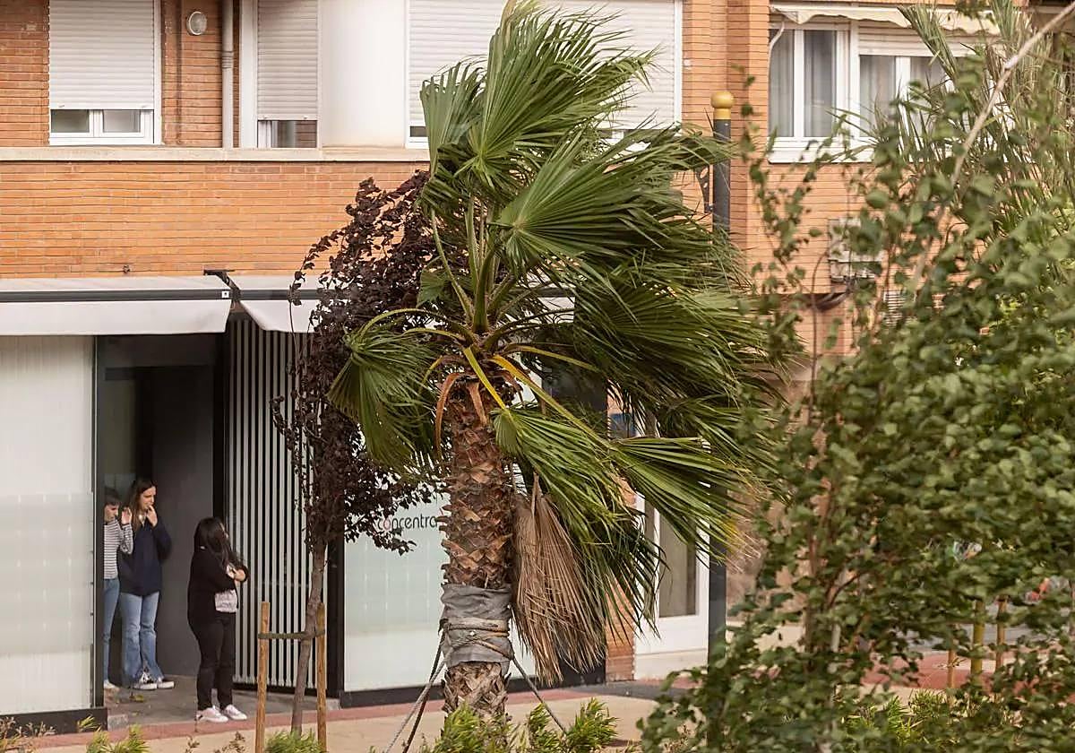 Rachas de viento en Logroño.