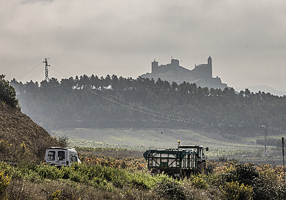 Últimos remolques que todavía se pueden ver vendimiando.