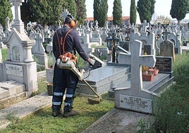Labores de desbroce en el cementerio de Nájera