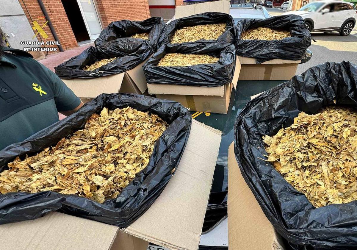 La Guardia Civil incauta en Logroño 43 kilos de hojas de tabaco ilegal