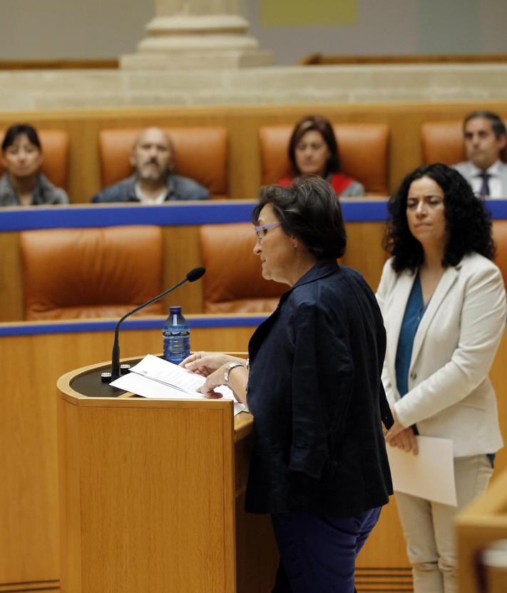 Imagen secundaria 2 - Una de las primeras fotos de la entidad, en el año 2000, en la imagen superior. Bajo ella, algunos miembros de la asociación riojana, en el año 2012. Y sobre estas líneas, intervención en el Parlamento de La Rioja de Josefina Rodríguez, presidenta de la entidad durante doce años.