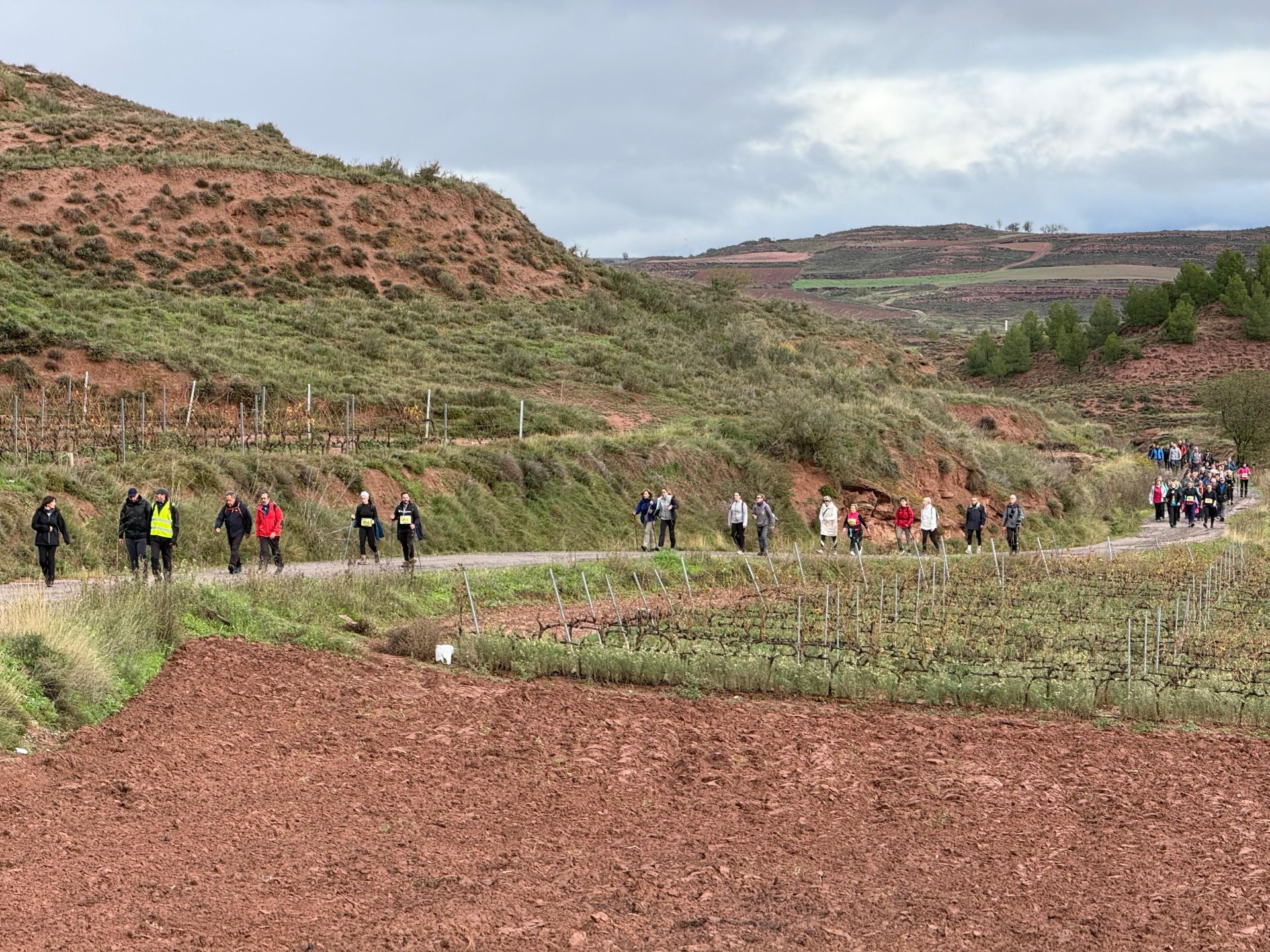 7ª edición de la marcha por el Camino Real de Nájera a San Millán