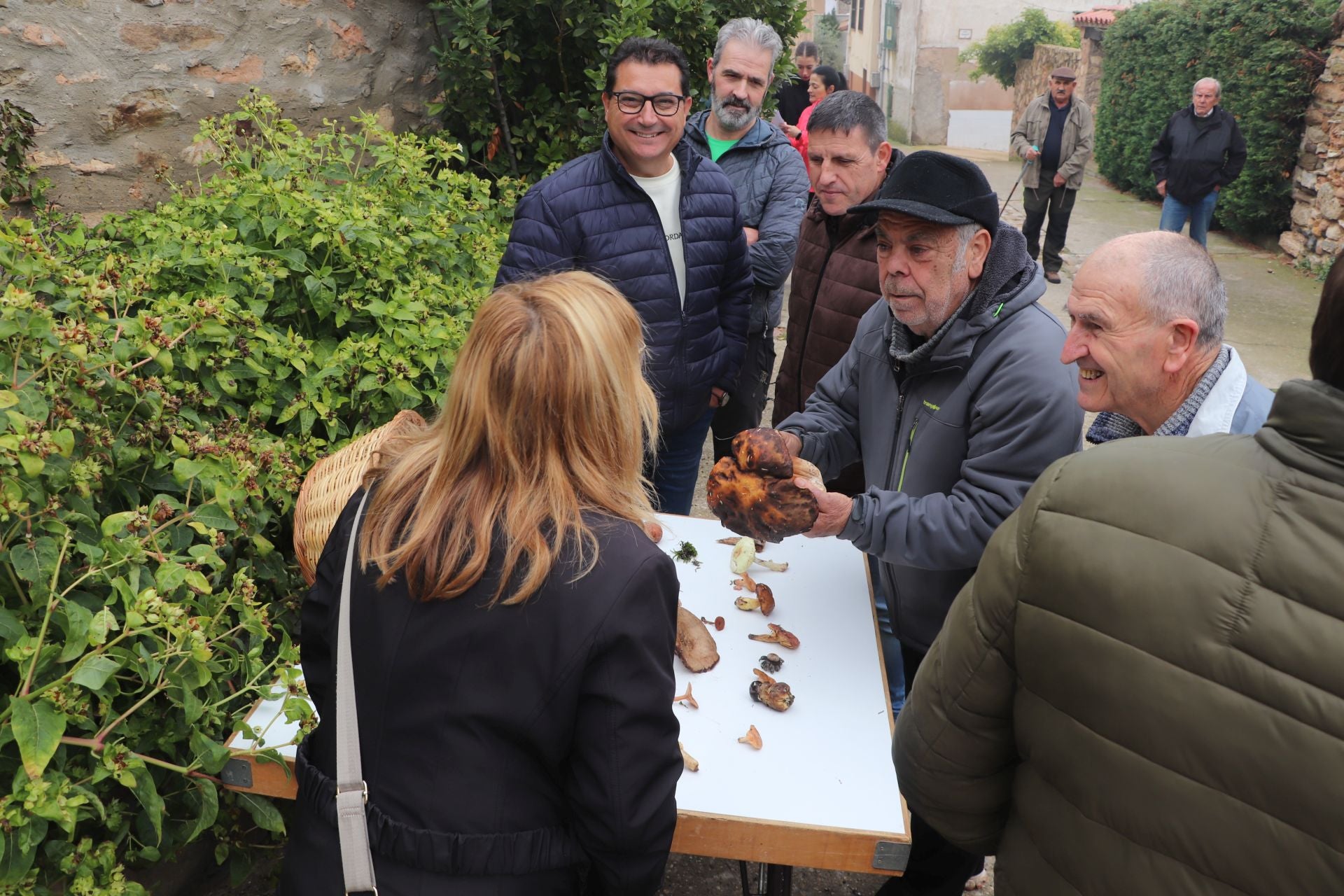 Las XXIX Jornadas Micológicas de Villarroya reúnen a cientos de personas