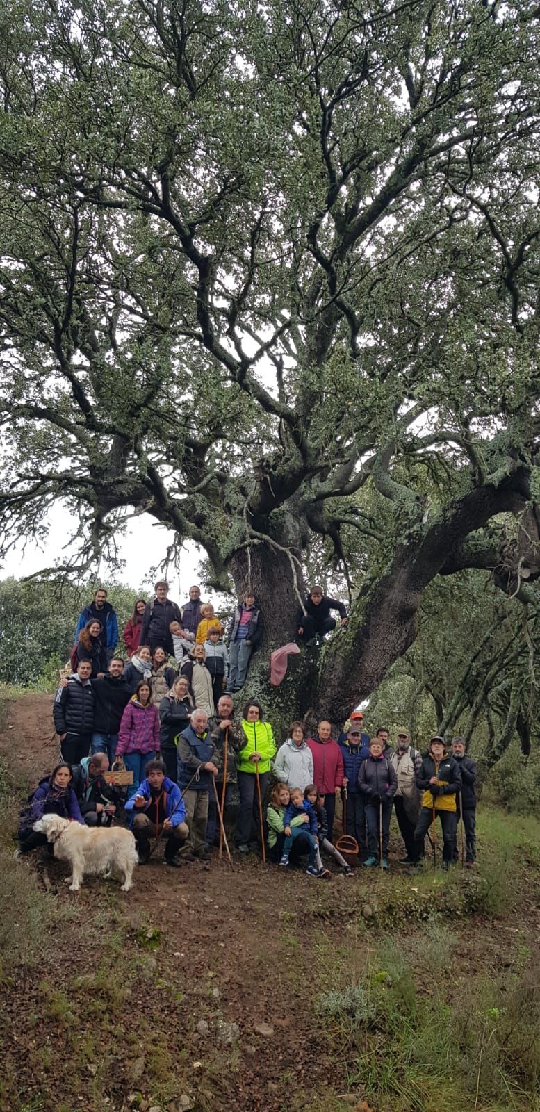 Las XXIX Jornadas Micológicas de Villarroya reúnen a cientos de personas