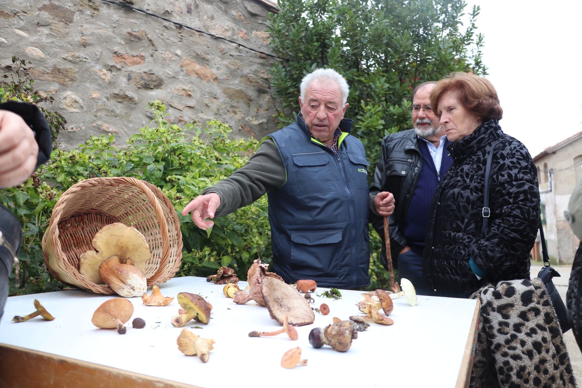 Las XXIX Jornadas Micológicas de Villarroya reúnen a cientos de personas