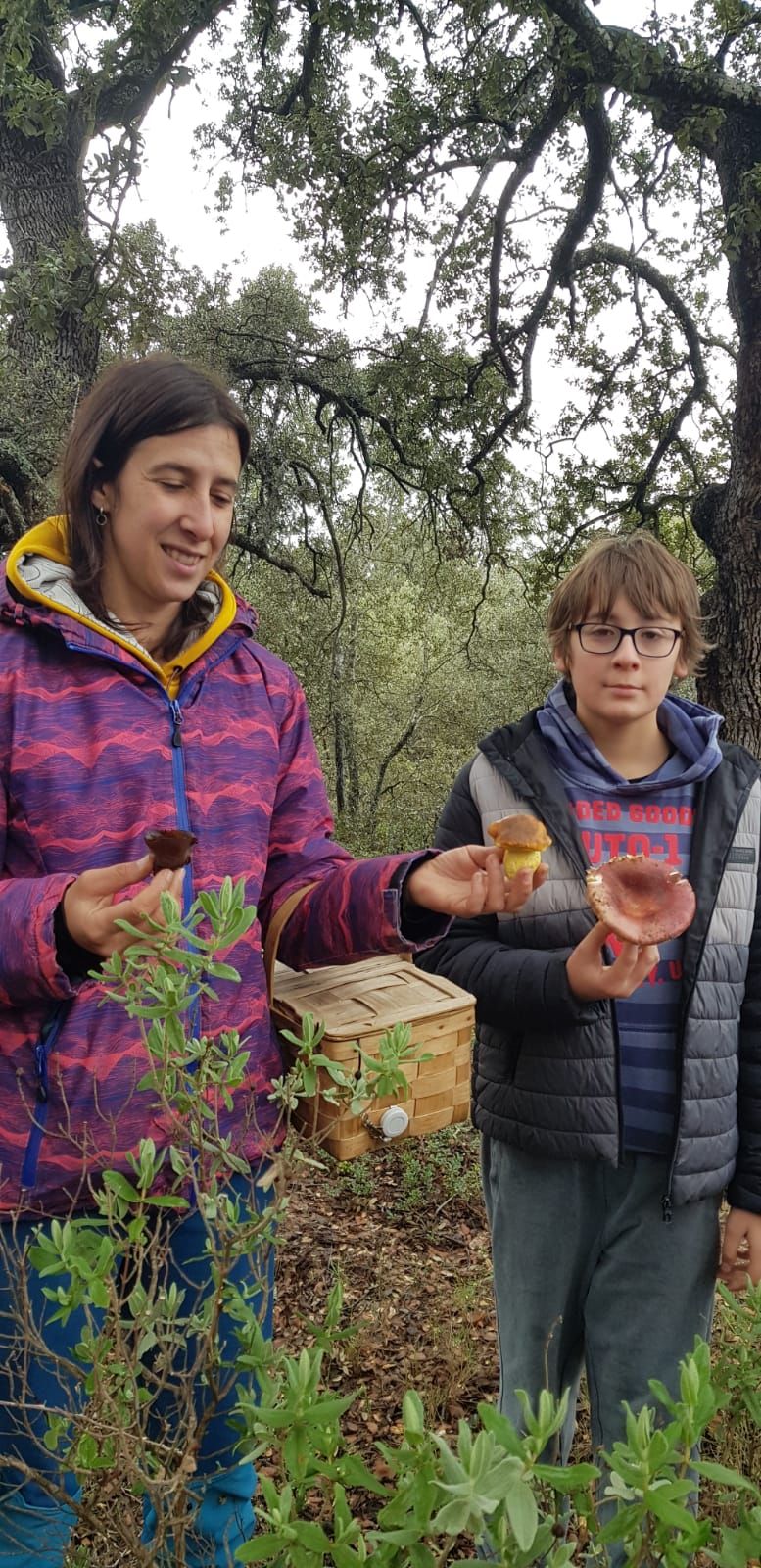 Las XXIX Jornadas Micológicas de Villarroya reúnen a cientos de personas