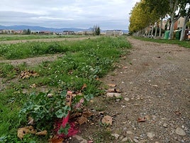 Marcas con estacas de madera de por donde transcurrirá el carril ciclopeatonal en la avenida de la Sierra.