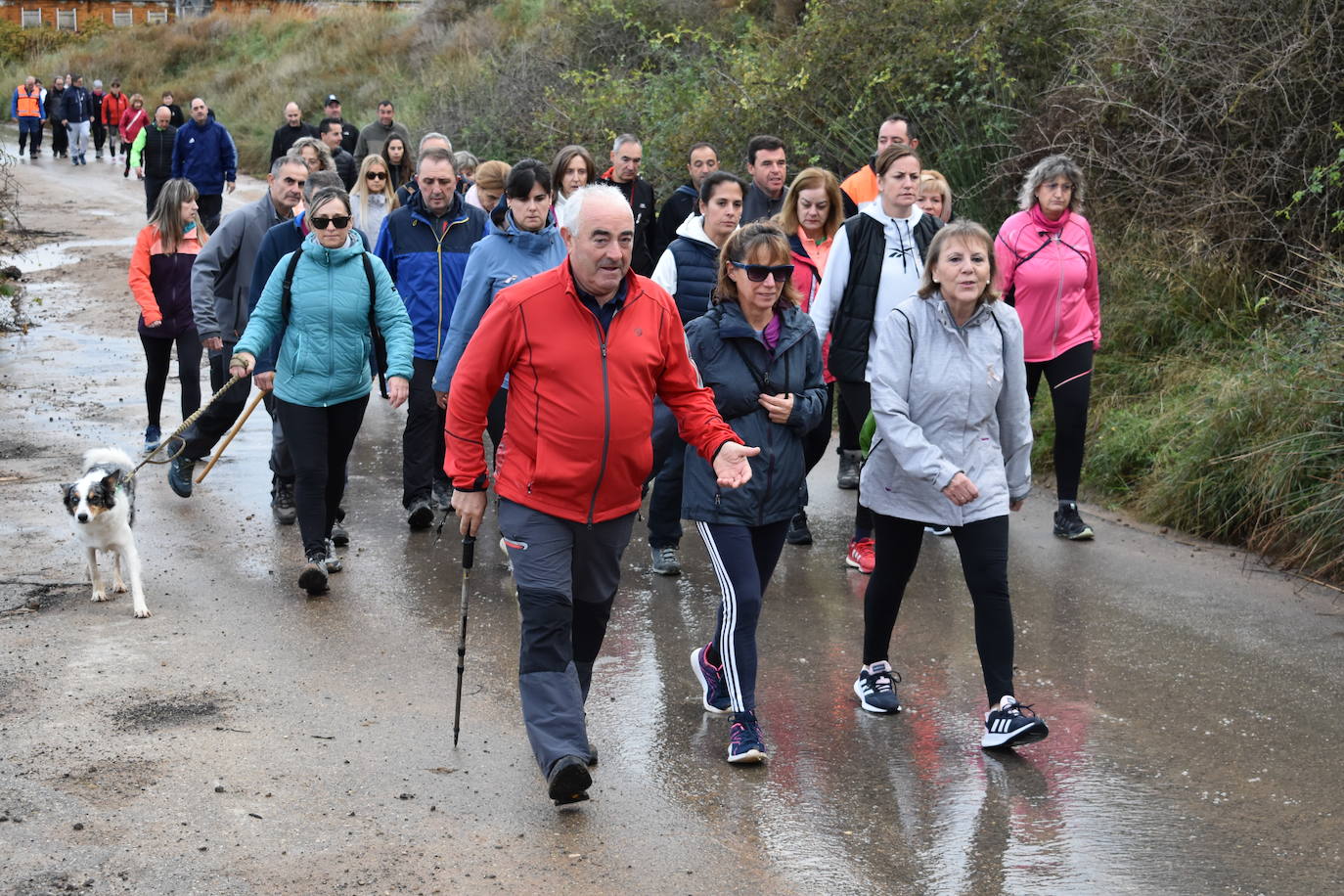 Los riojanos se vuelcan con la marcha de Amade contra el cáncer