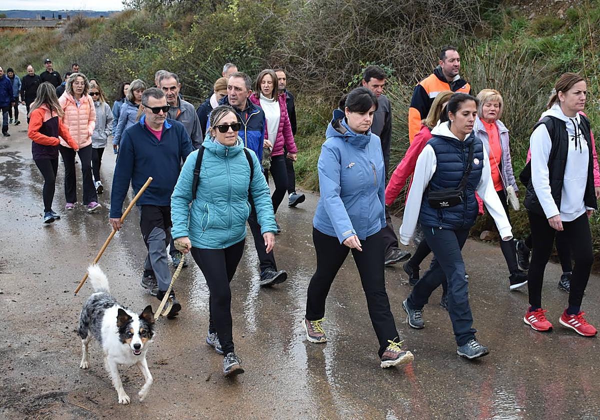 Los riojanos se vuelcan con la marcha de Amade contra el cáncer