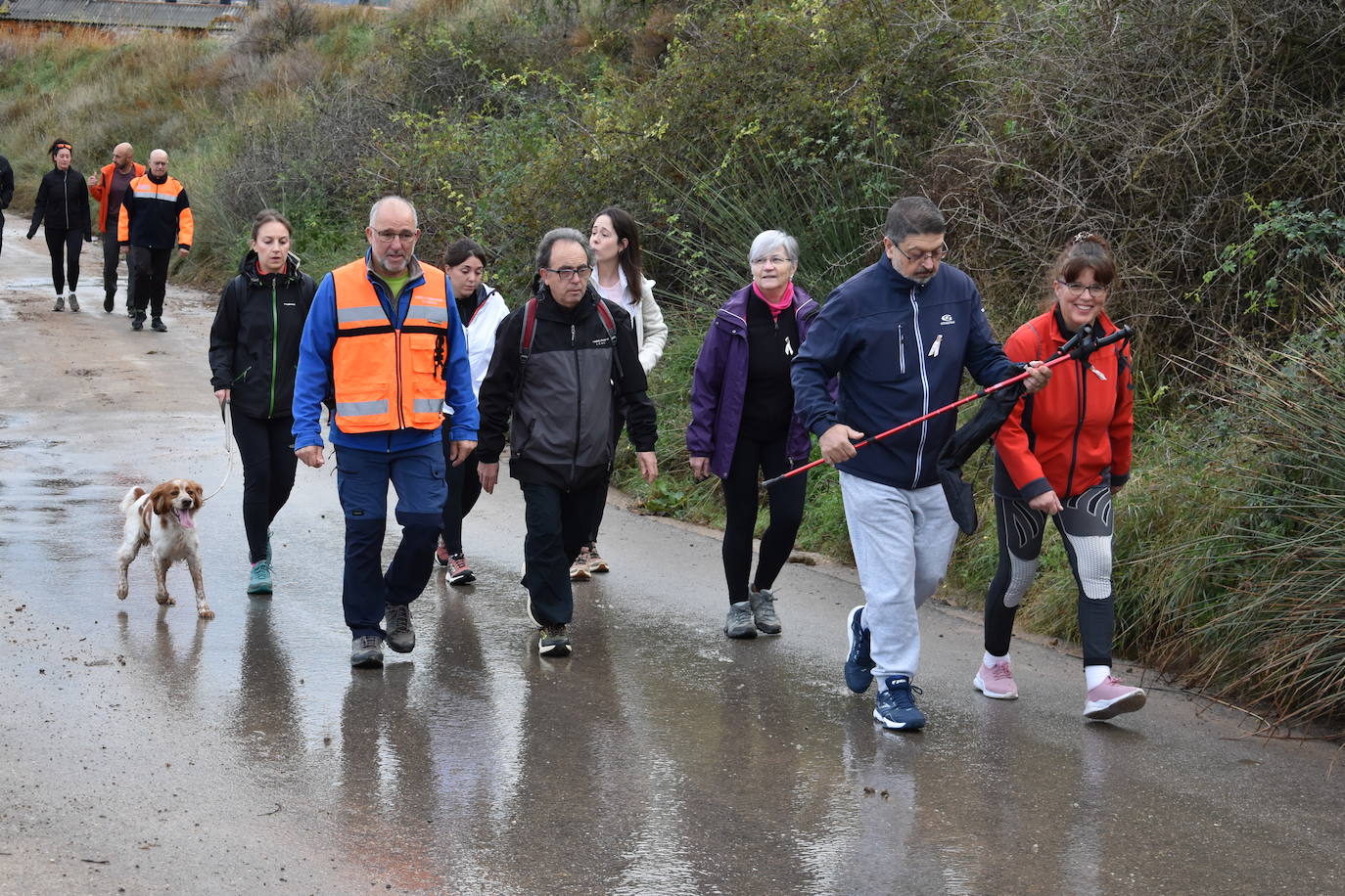 Los riojanos se vuelcan con la marcha de Amade contra el cáncer