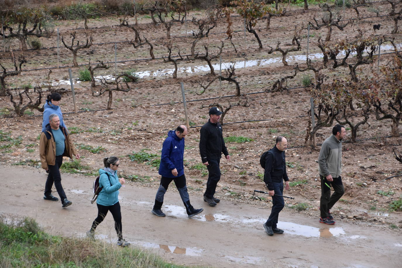 Los riojanos se vuelcan con la marcha de Amade contra el cáncer
