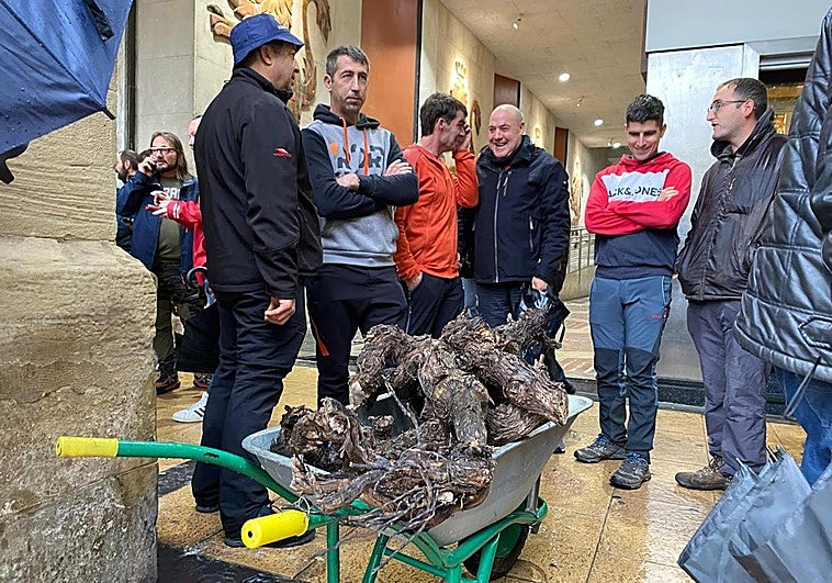 Uno de los agricultores, con unas viñas arrancadas, en la movilización prevista en la plaza del Mercado.
