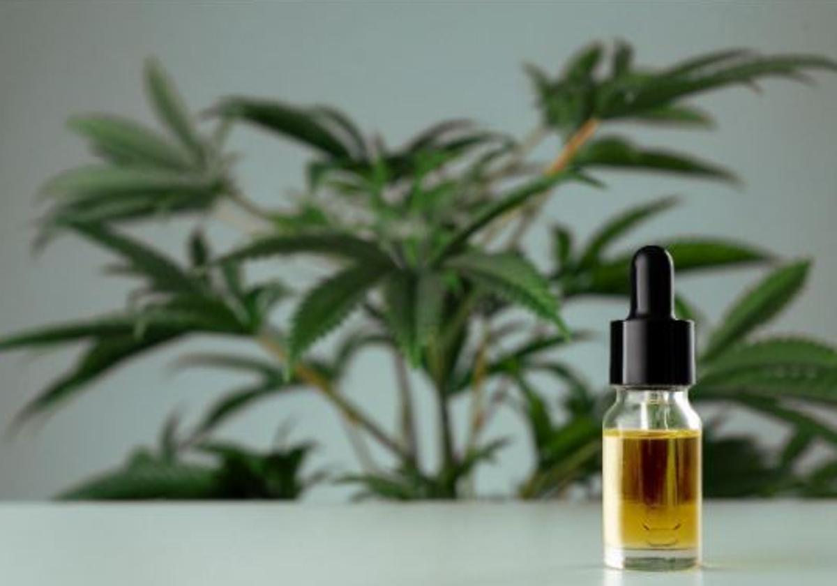 Guía para comprar CBD legal en La Rioja: opciones y consejos