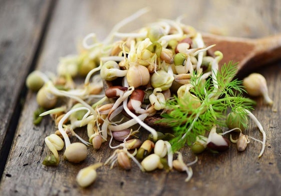 Unos brotes de Alfalfa mezclados con otros alimentos para consumir en un ligero plato.