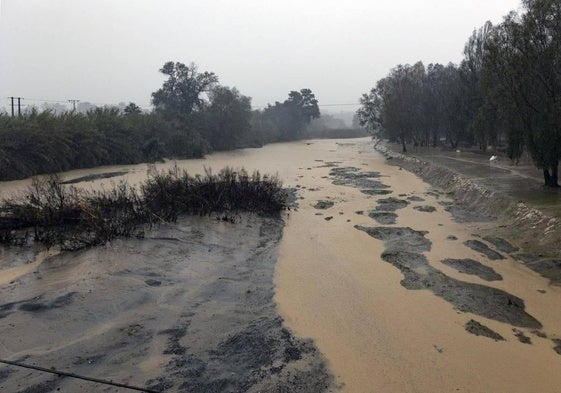 Imagen del río Guadalhorce a su paso por la Estación de Cártama