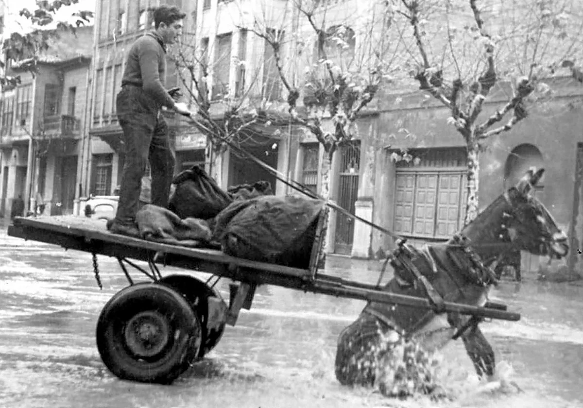 Un carro tirado por burros frena en seco en una calle inundada de Logroño en 1961.