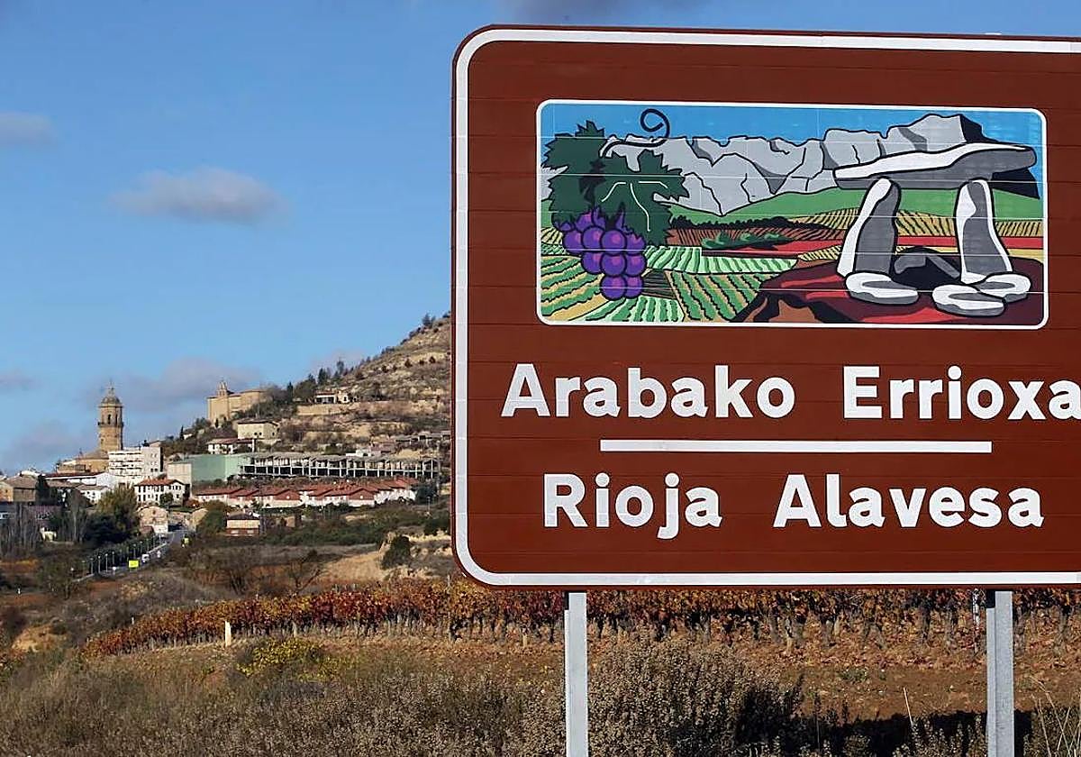 El Gobierno vasco analiza si recurre la sentencia que tumbó Viñedos de Álava