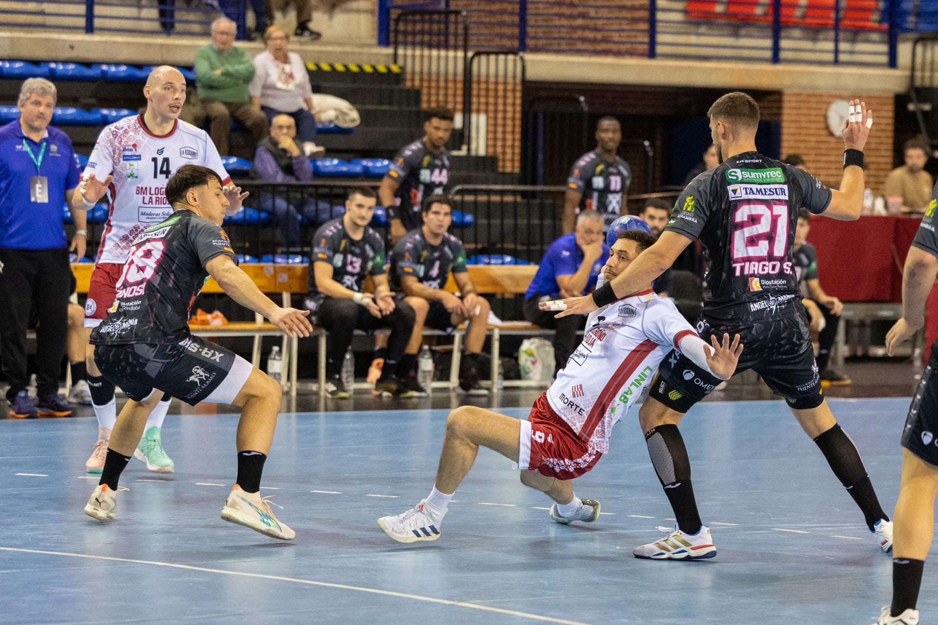 Las imágenes del Ciudad de Logroño-Puente Genil