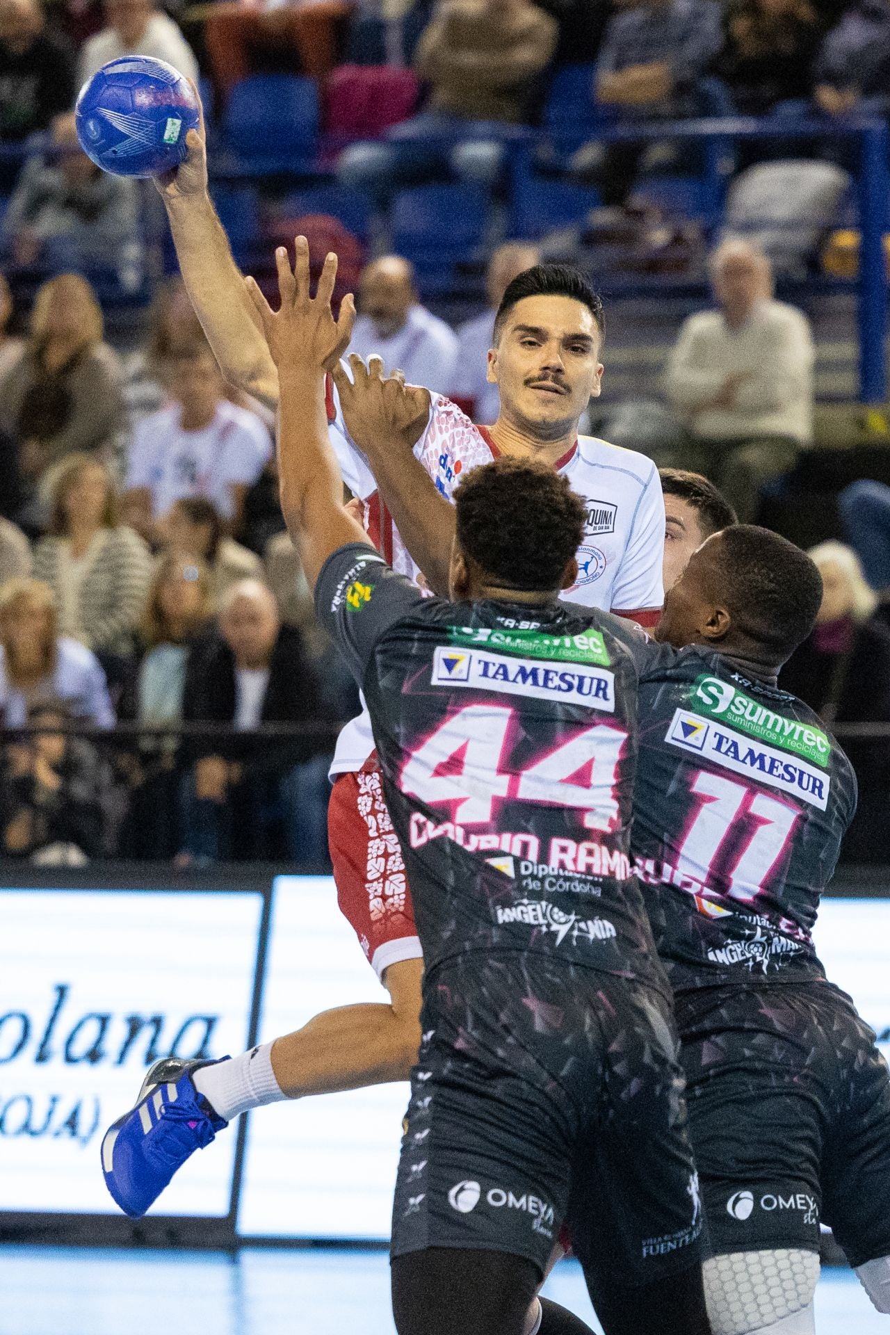 Las imágenes del Ciudad de Logroño-Puente Genil