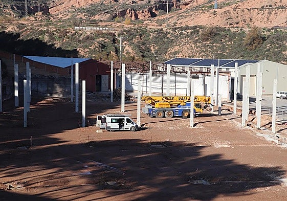 Trabajos iniciales en la parcela del polígono El Raposal.