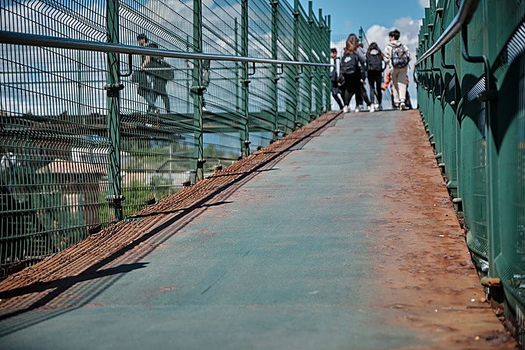 Estado actual que presenta el paso elevado.