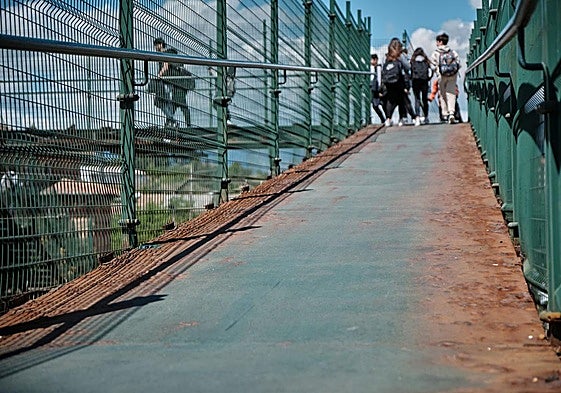 Estado actual que presenta el paso elevado.