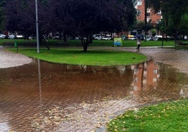 Quejas sobre los servicios de Logroño Deporte