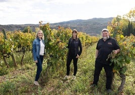 Elena Corzana, Pilar Torrecilla y Juan Carlos Sancha en un viñedo de maturana tinta.