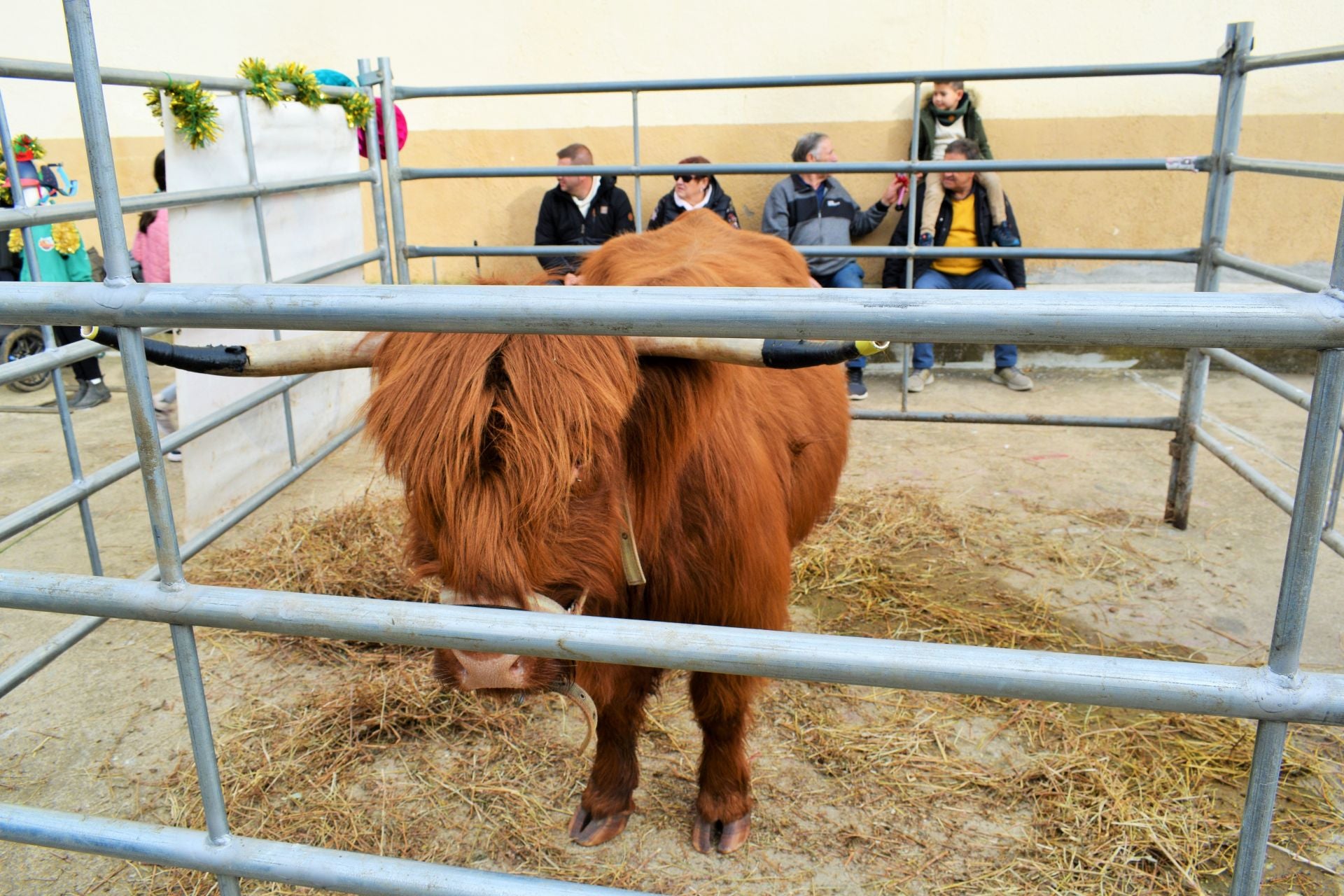Sorzano da la bienvenida a la Navidad con su belén mecánico
