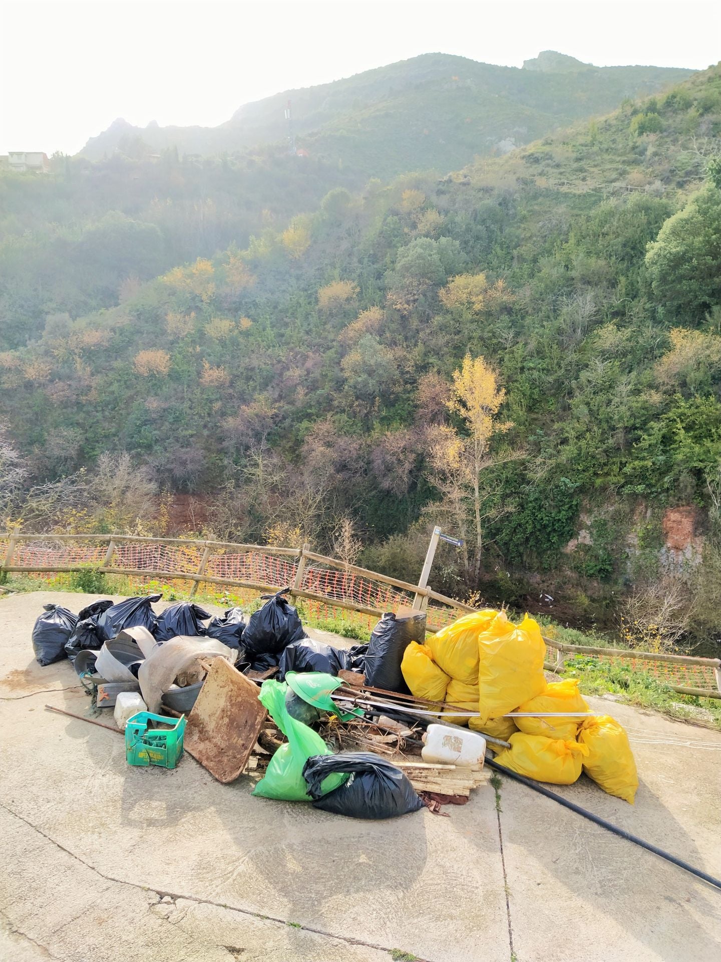 &#039;Amigos de los ríos&#039; limpia el barranco de Santa Engracia