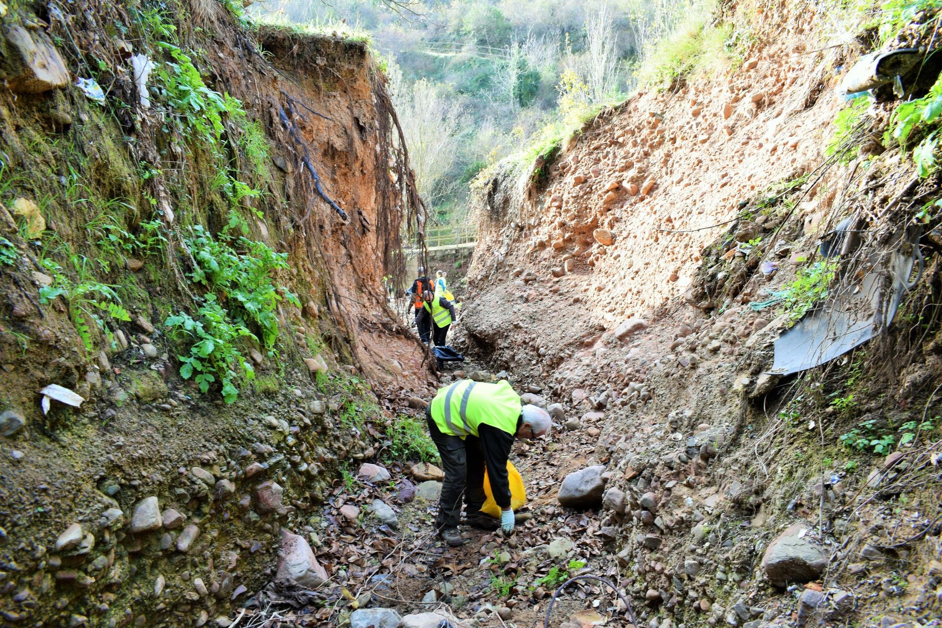 &#039;Amigos de los ríos&#039; limpia el barranco de Santa Engracia