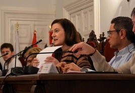Los concejales de Vox, Maite Arnedo y Manuel de los Reyes, en un pleno.