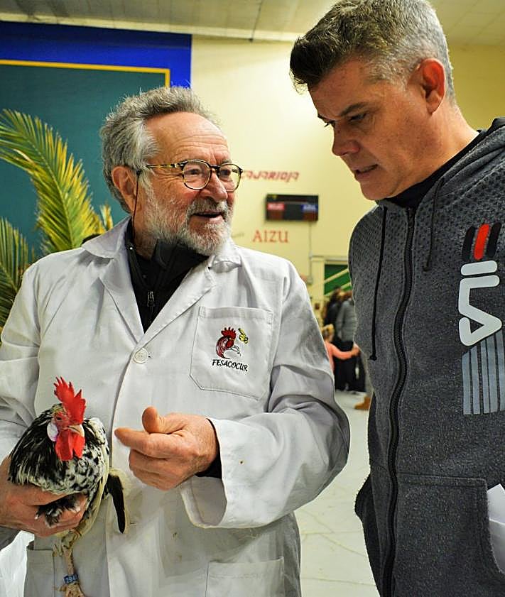 Imagen secundaria 2 - 700 aves de exposición en el frontón