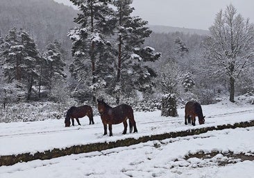 Las mínimas bajo cero se generalizarán en La Rioja desde este miércoles