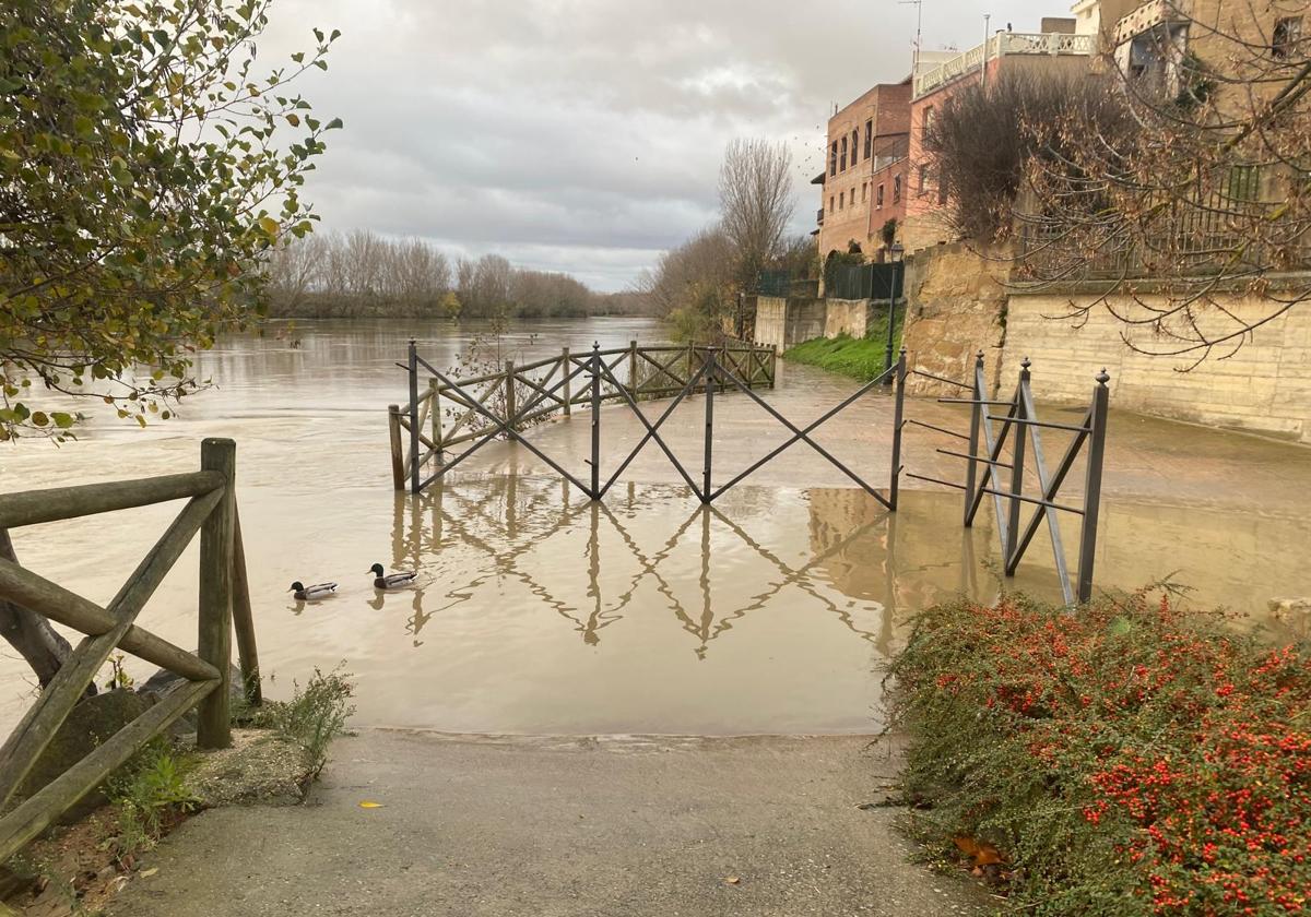 El Ebro se estabiliza tras provocar leves desbordamientos en La Rioja Alta y Logroño