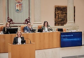 María Somalo, del PSOE, durante su intervención.