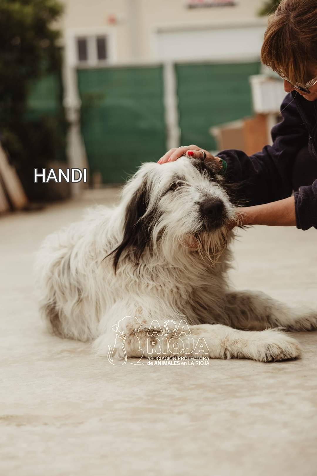 Handi.