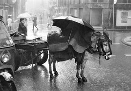 Lluvia en Logroño (1978).