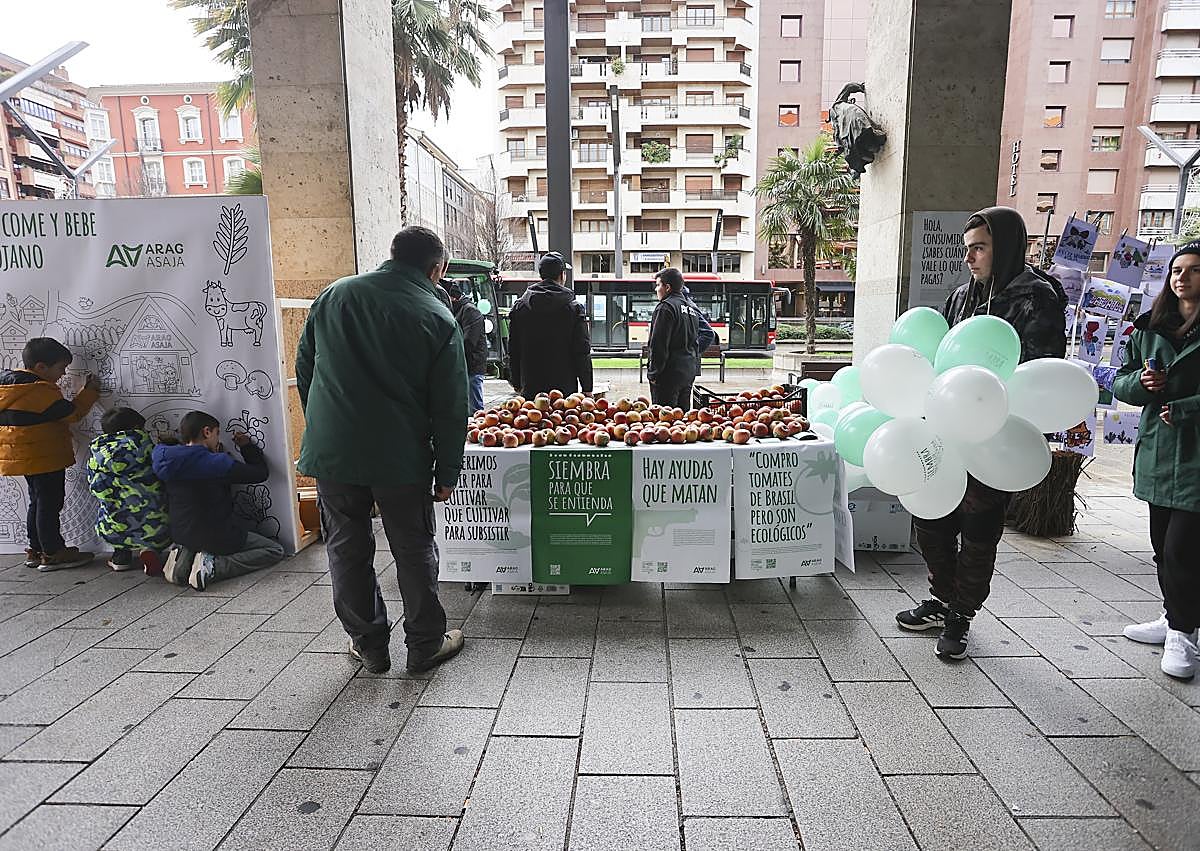 Imagen secundaria 1 - Exposición de ARAG-Asaja en la calle Gran Vía de Logroño.