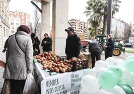 Exposición de manzanas Fuji, de Igea, para promover el consumo local en Navidad.