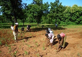 Uno de los últimos proyectos financiados en Burkina Faso.