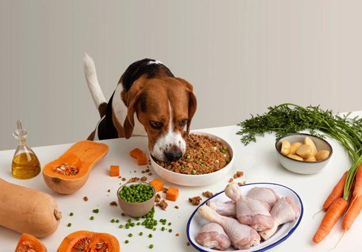 Comida sana, saludable y natural para perros