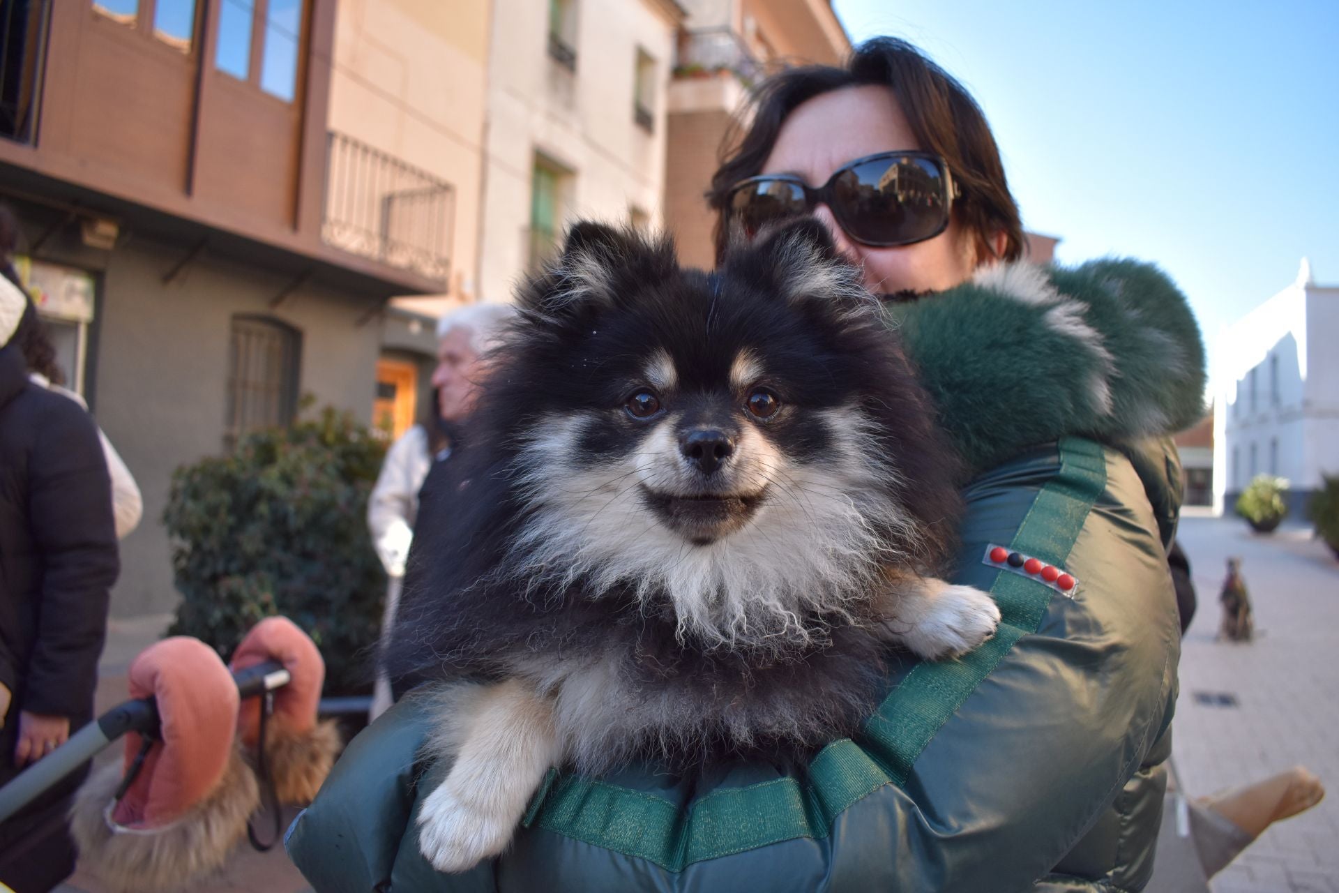 Bendición por San Antón en Rincón de Soto