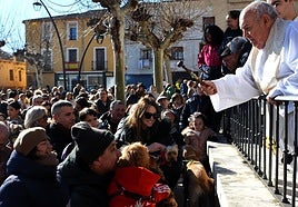 Bendición de los animales en el Planillo de San Andrés, abarrotado de calagurritanos y calagurritanas con sus mascotas.