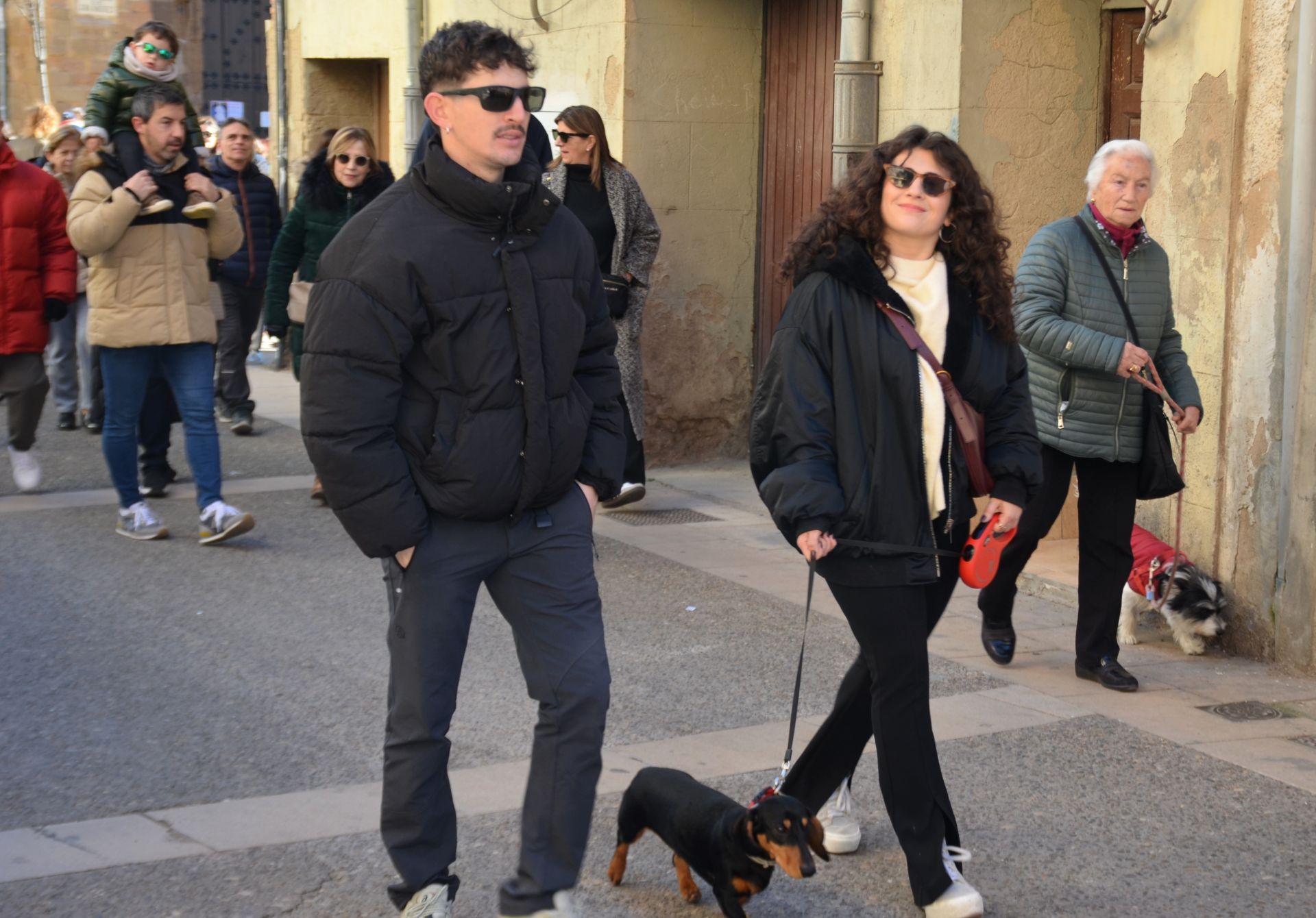 Bendición de San Antón, en Calahorra